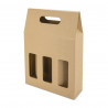 Carton-sac porte-bouteilles (3) à fenêtres - Europe