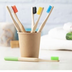 Brosse à dents en bambou 6 couleurs