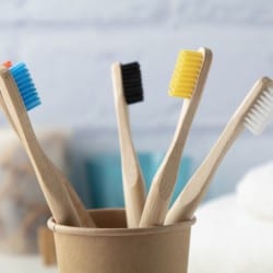 Brosse à dents en bambou 6 couleurs