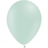 Ballon de baudruche biodégradable avec marquage inclus 1 coul