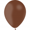 Ballon de baudruche biodégradable avec marquage inclus 1 coul